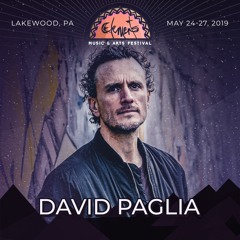 David Paglia - Elements Festival Vinyl Promo Mix