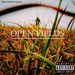 Open Fields (Prod. Redpest)