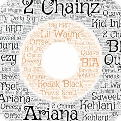 Just the tip...of the Iceberg featuring Wayne, MegTheStallion,2ChainZ,Quavo,Gucci,Big Krit,Travis