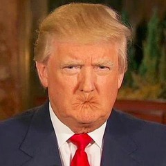 Grab Them By The Pussy (what trump said)