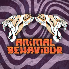 CREATURE FEATURE PROMO (ANIMAL BEHAVIOUR)