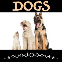 Soundopolis Presents: Dogs