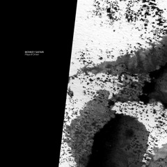 Monkey Safari - Playa (Original Mix)