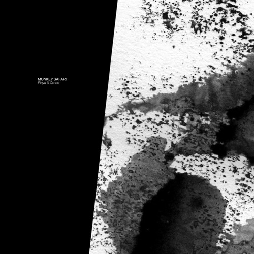 Monkey Safari - Playa (Original Mix)
