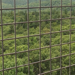 DJ SHORTSLEEVES VOL. 1 (Mixed)