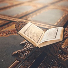 تلاوات قرآنية | سورة لقمان - شريف المغازي