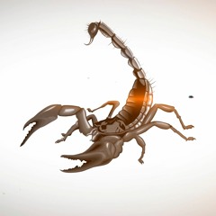 Base de Trap Freestyle Uso Libre "SCORPION" 2019 | Instrumental Hard Rap Hip Hop IB PROD