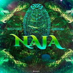 OnlyBeat & Absolem - Naja (Original Mix) *Free Download*