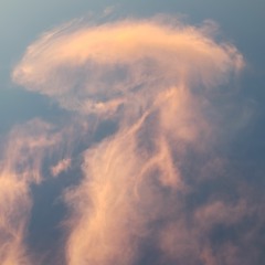 Thoughts (Feat. Oakworm & Dante Passion)