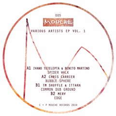 PREMIERE: TM Shuffle + Ittara - Common Dub Ground [Mouche]