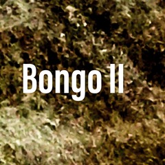 Bongo2