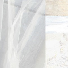 polar vortex (nick + ryne)