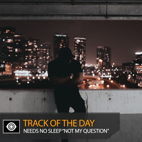 Track of the Day: Needs No Sleep “Not My Question”