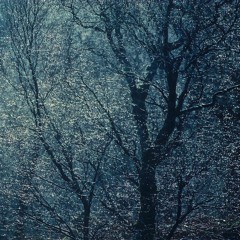 CHEFFMATE - grades não são impenetráveis