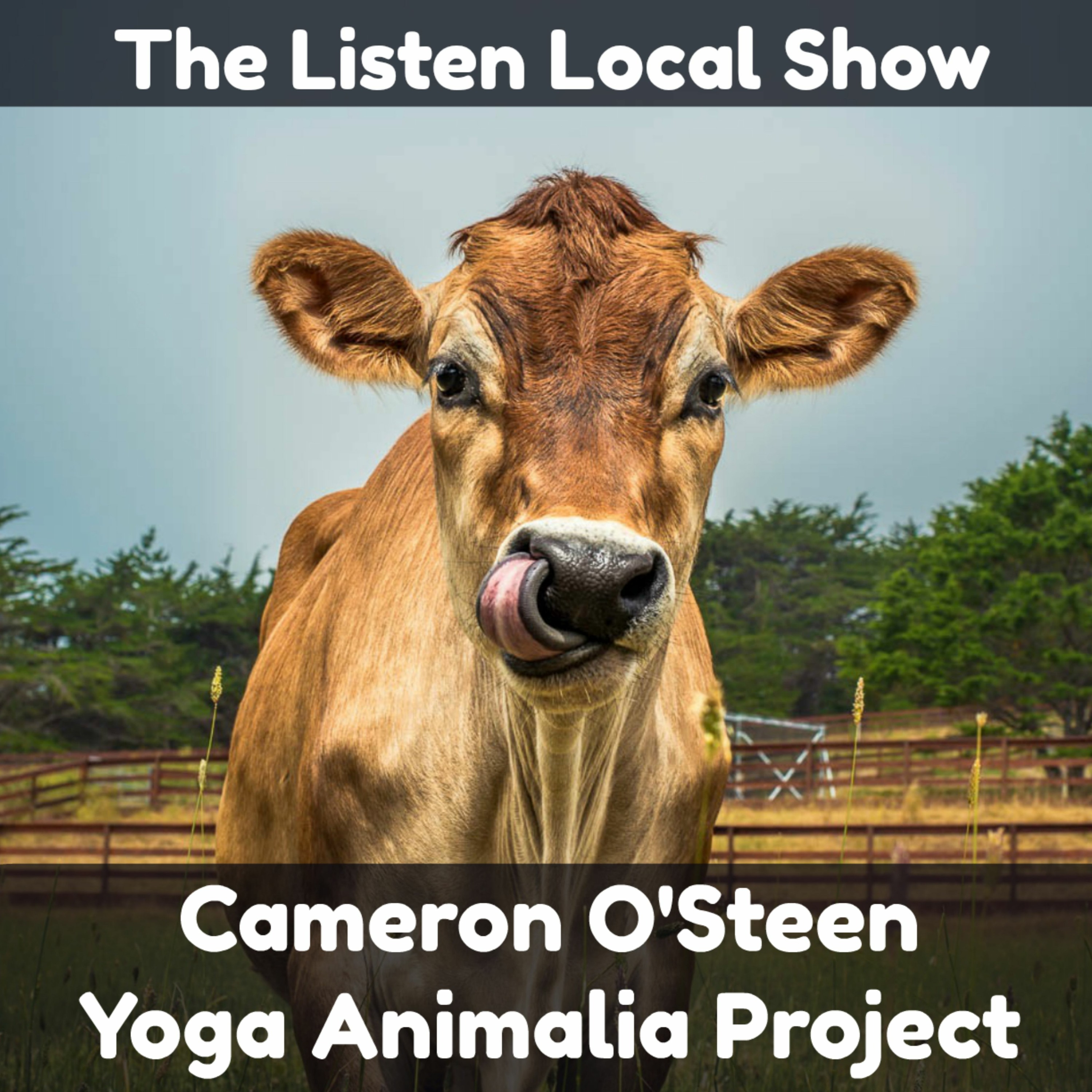 The Listen Local Show 3 27 19 w/ Cameron O'Steen of Yoga Animalia Project episode artwork