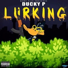 Ducky P - Lurking