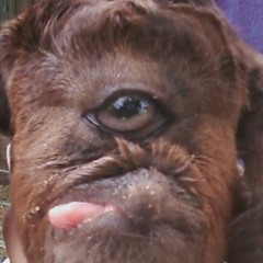 das yo ass pretty boy