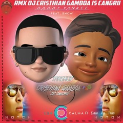 Con Calma Vrs. Dale Pa Tra (MashupSpectriun)(CanGrii Edith)Copyright