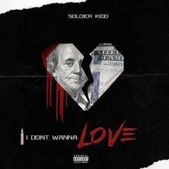I Dont Wanna Love