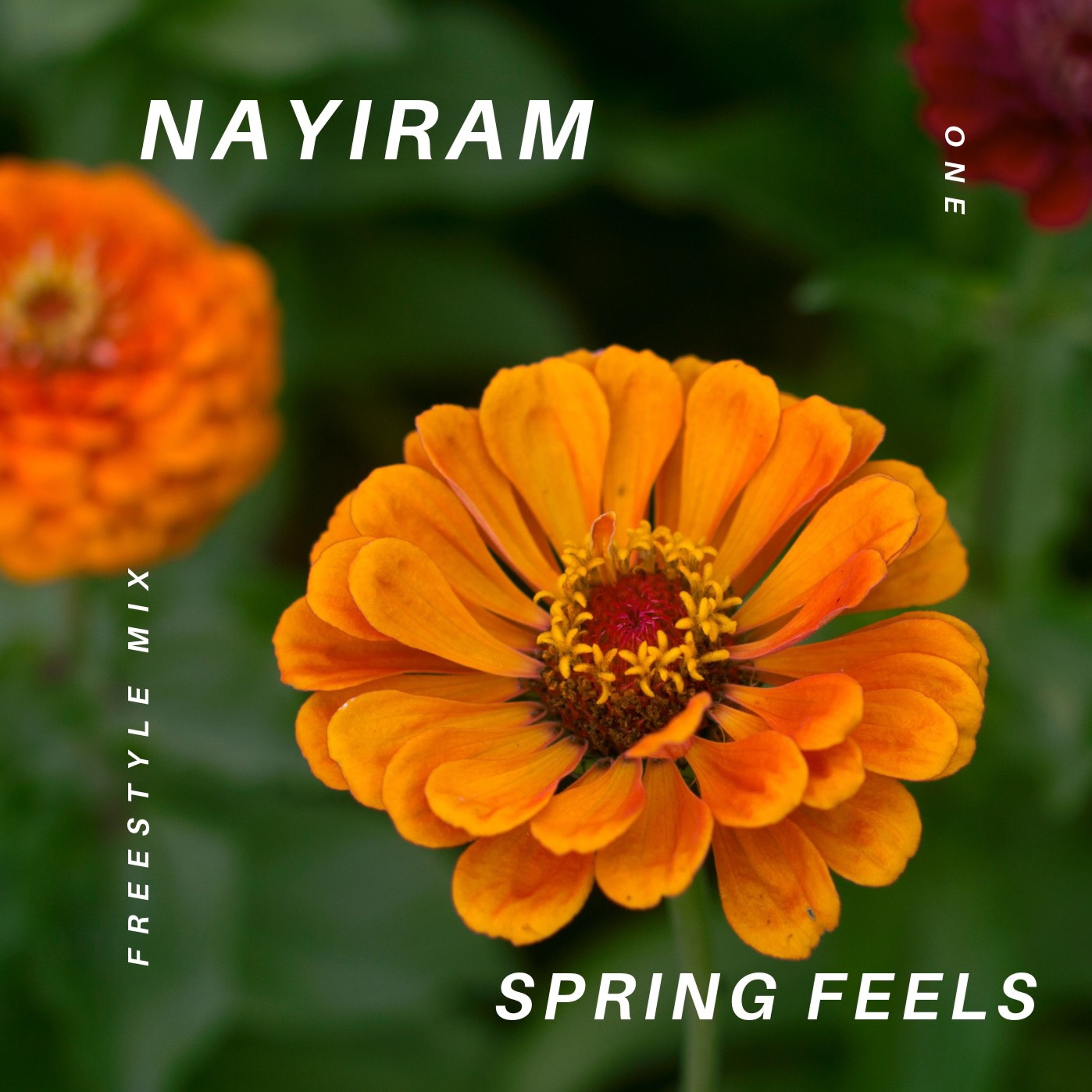 Nayiram Freestyle Mix 1 (2018 Dealings)