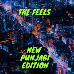 Punjabi playlist