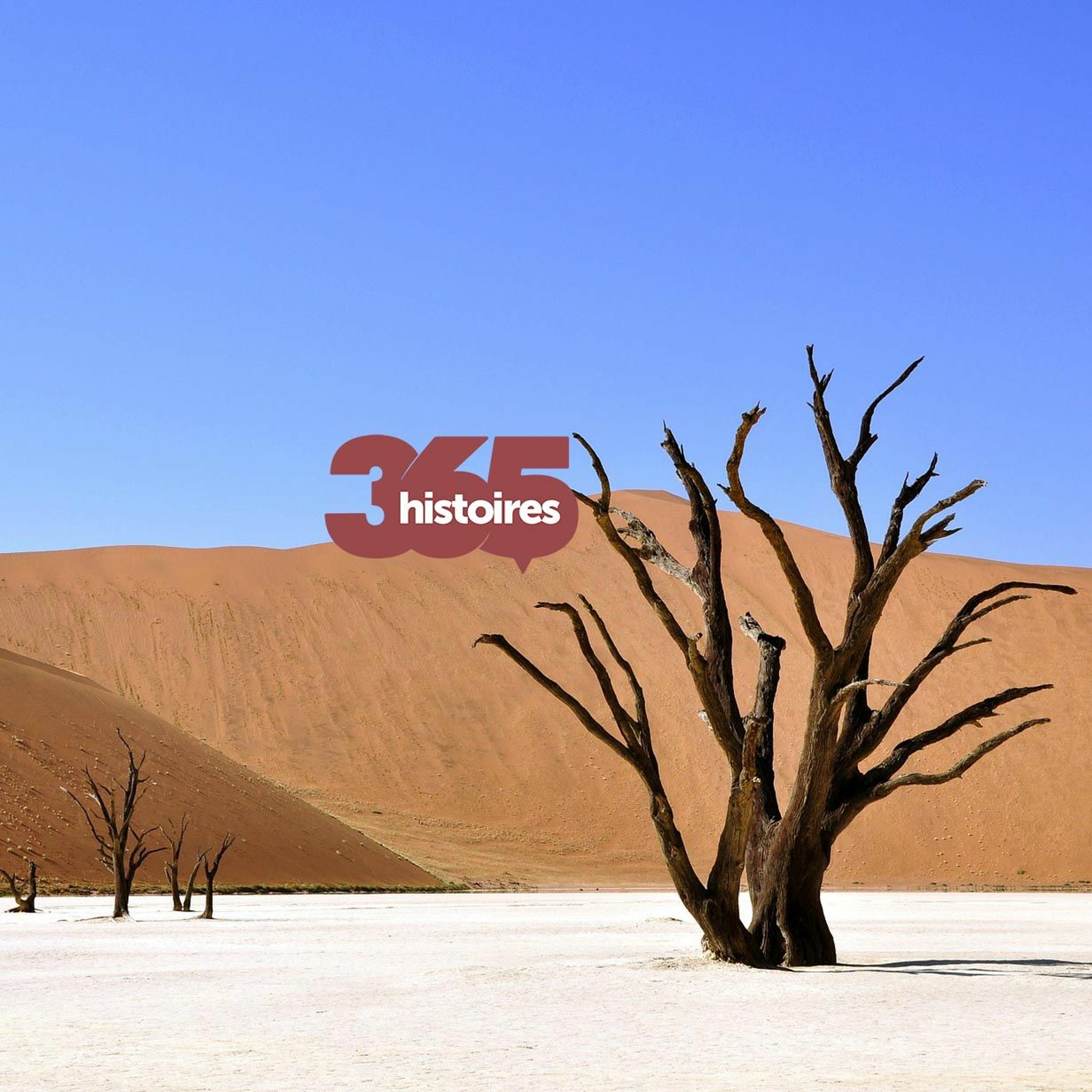 365Histoires