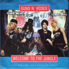 Welcome To The Jungle (DJ Tao Bootleg)