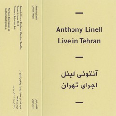 Anthony Linell — Live in Tehran / اجراى تهران (Excerpt)