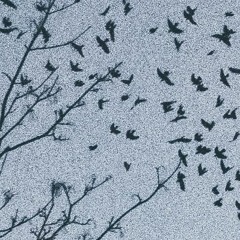 SET MY EXPECTATIONS LOW(prod. sketchmyname)