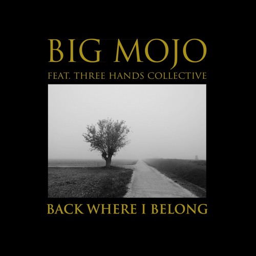 Big mojo_Back where i belong_Remix Edition