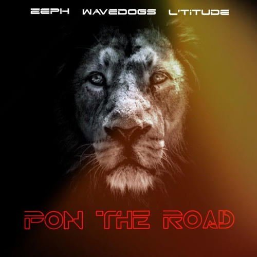 Wavedogs & Zeph -Pon The Road