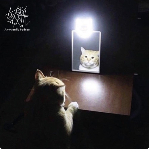 Awkwardly Cast 015 / Matt Harris (Temporize Records)