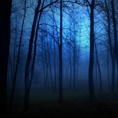 Patterns In The Fog