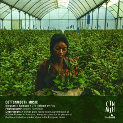 CTNMTH - BLOGCAST 079 - ROO