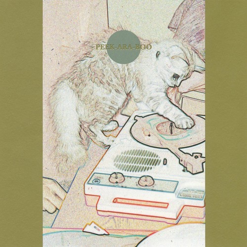 Hoahio - DJ Hashimoto (excerpt)