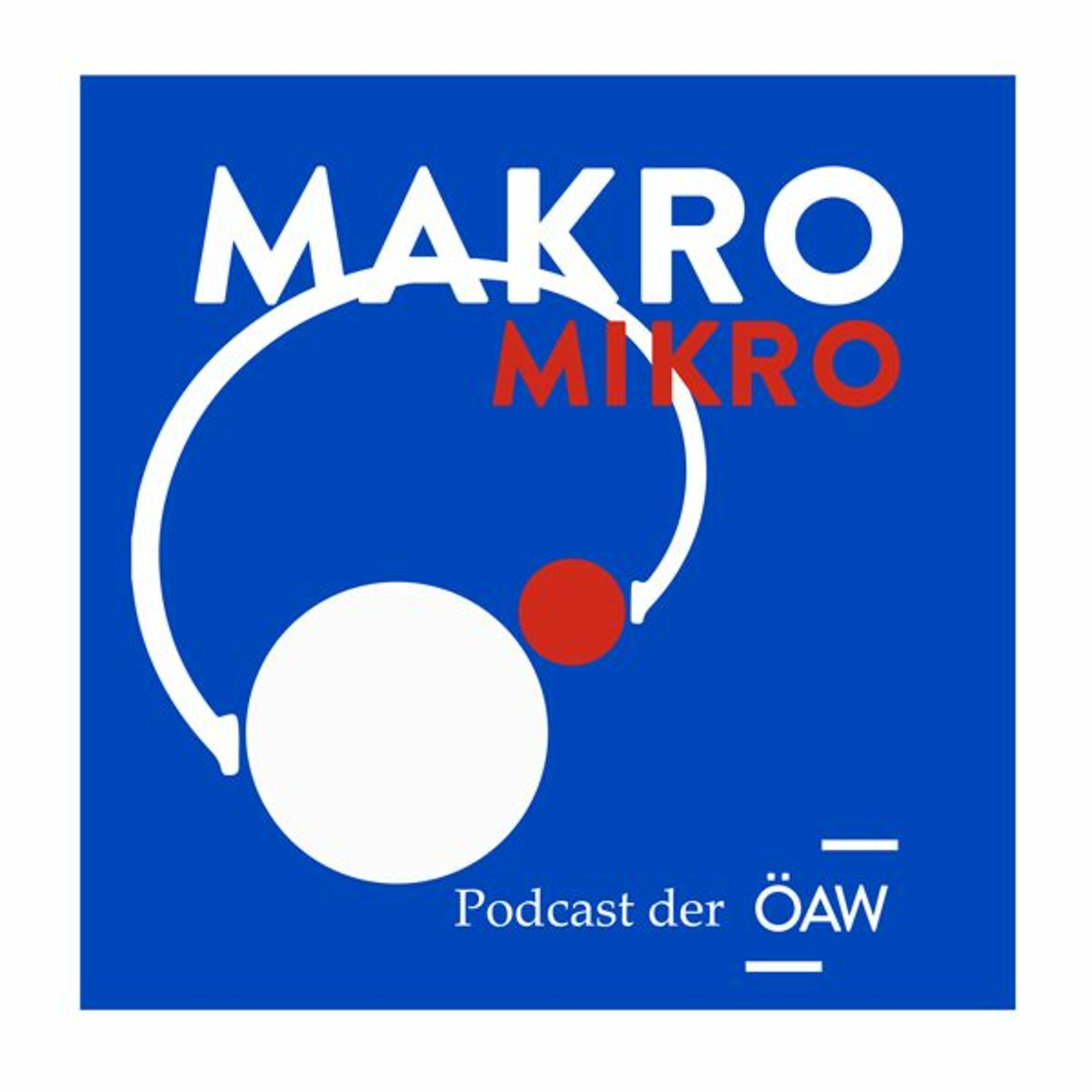 Makro Mikro