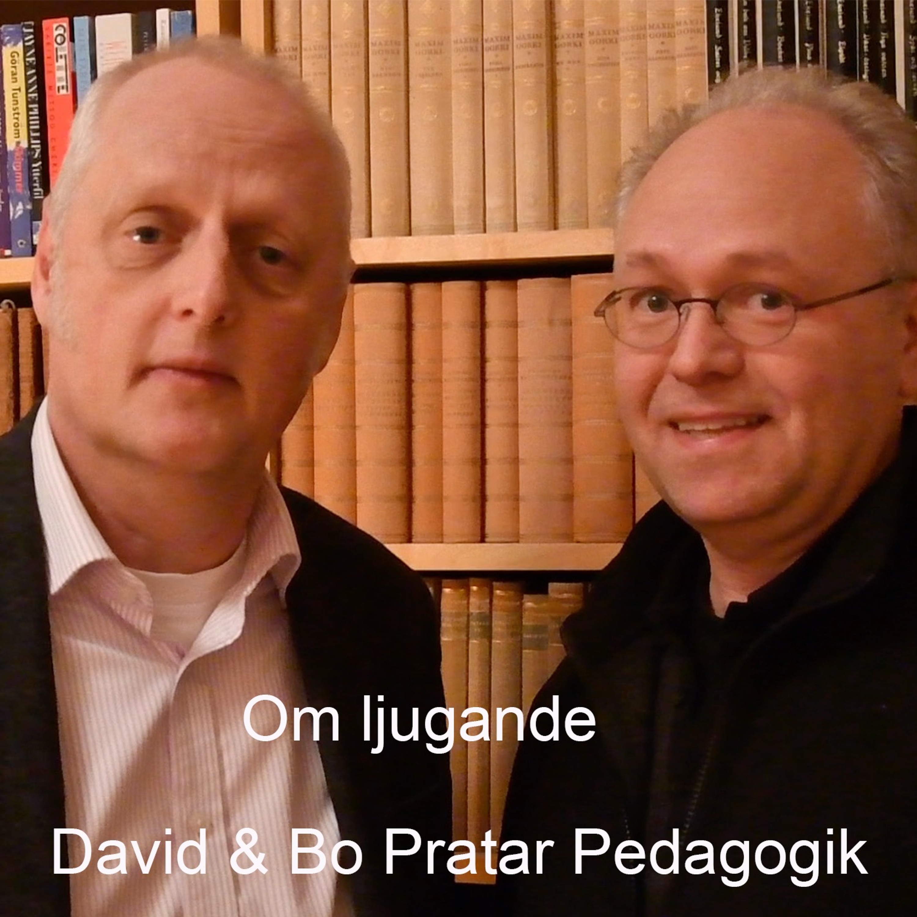 David & Bo Pratar Pedagogik