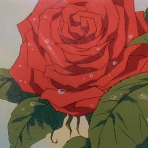 🌹𝕽𝓞𝕾𝕬𝕾🌹 - ₦ɎɄ ₦ł₲Ⱨ₮₵ØⱤɆ ⱤɆ₥łӾ .