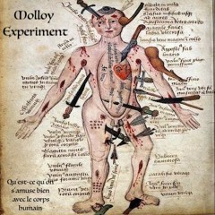 Qu'est - Ce Qu'on S'amuse Bien Avec Le Corps Humain ( What are we having fun with the human body)
