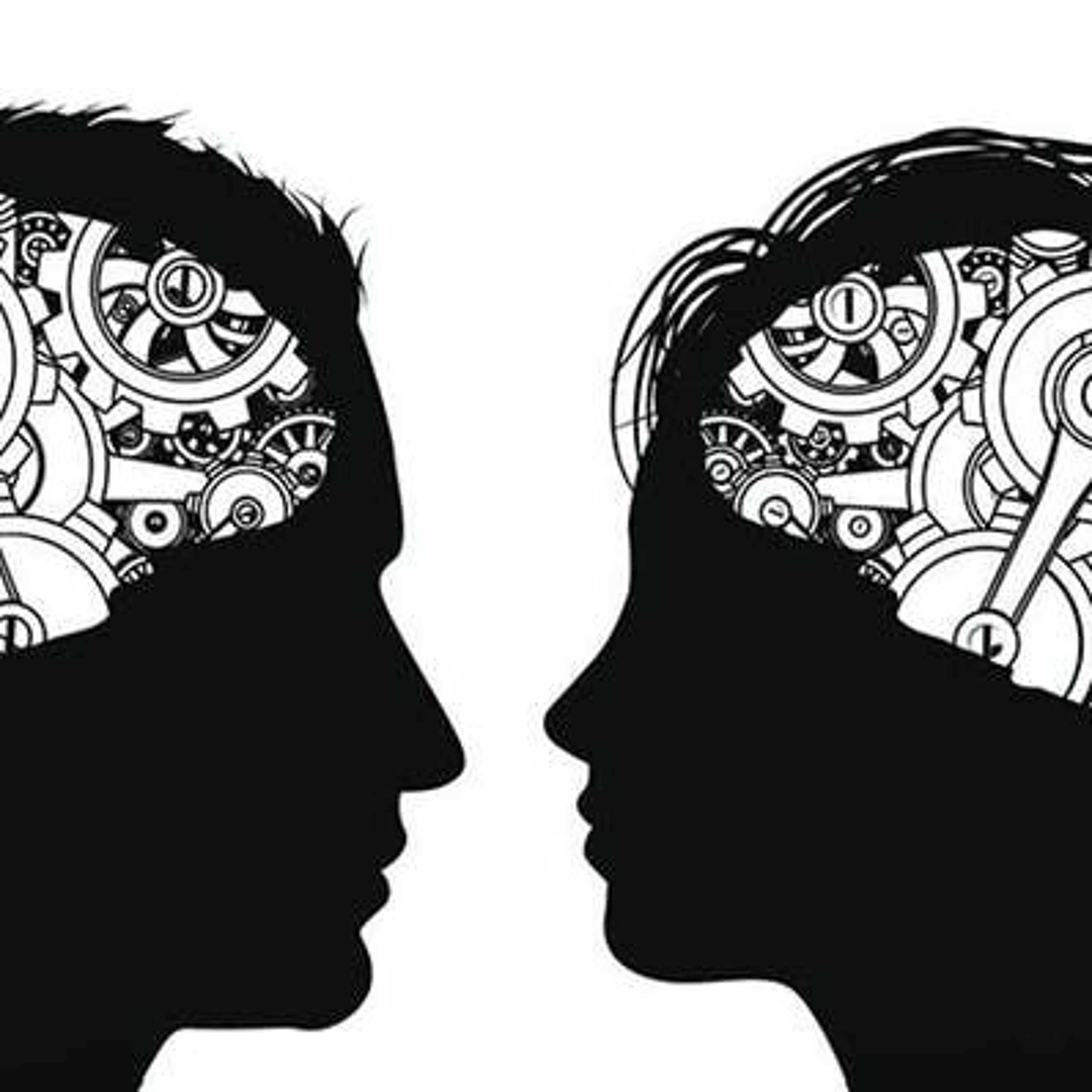 The Gendered Brain