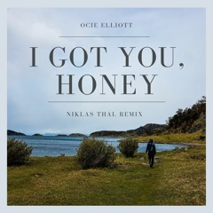Ocie Elliott - I Got You, Honey (Niklas Thal Remix)