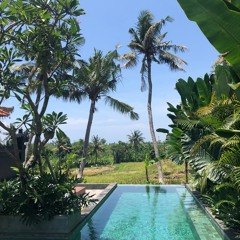 Reckless Vs. Stratagem