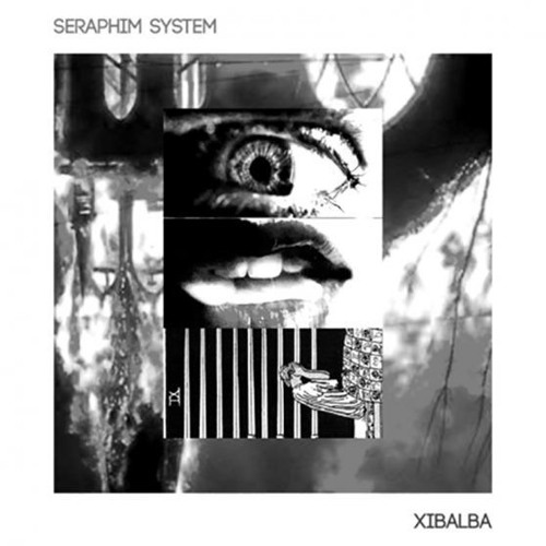 Singularity by Seraphim System