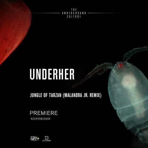 PREMIERE: UNDERHER - Jungle of Tarzan (Malandra Jr. Remix) [Disorder]