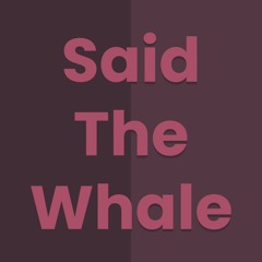 Said The Whale - Interview - Albertan Winters, The Docu-Series & Who Is Kevin?