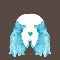 CorrDz, BLINXO - TRACE