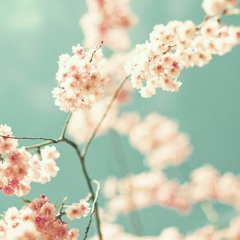 Spring Podcast