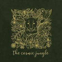 Anda Luz at The Cosmic Jungle Amsterdam