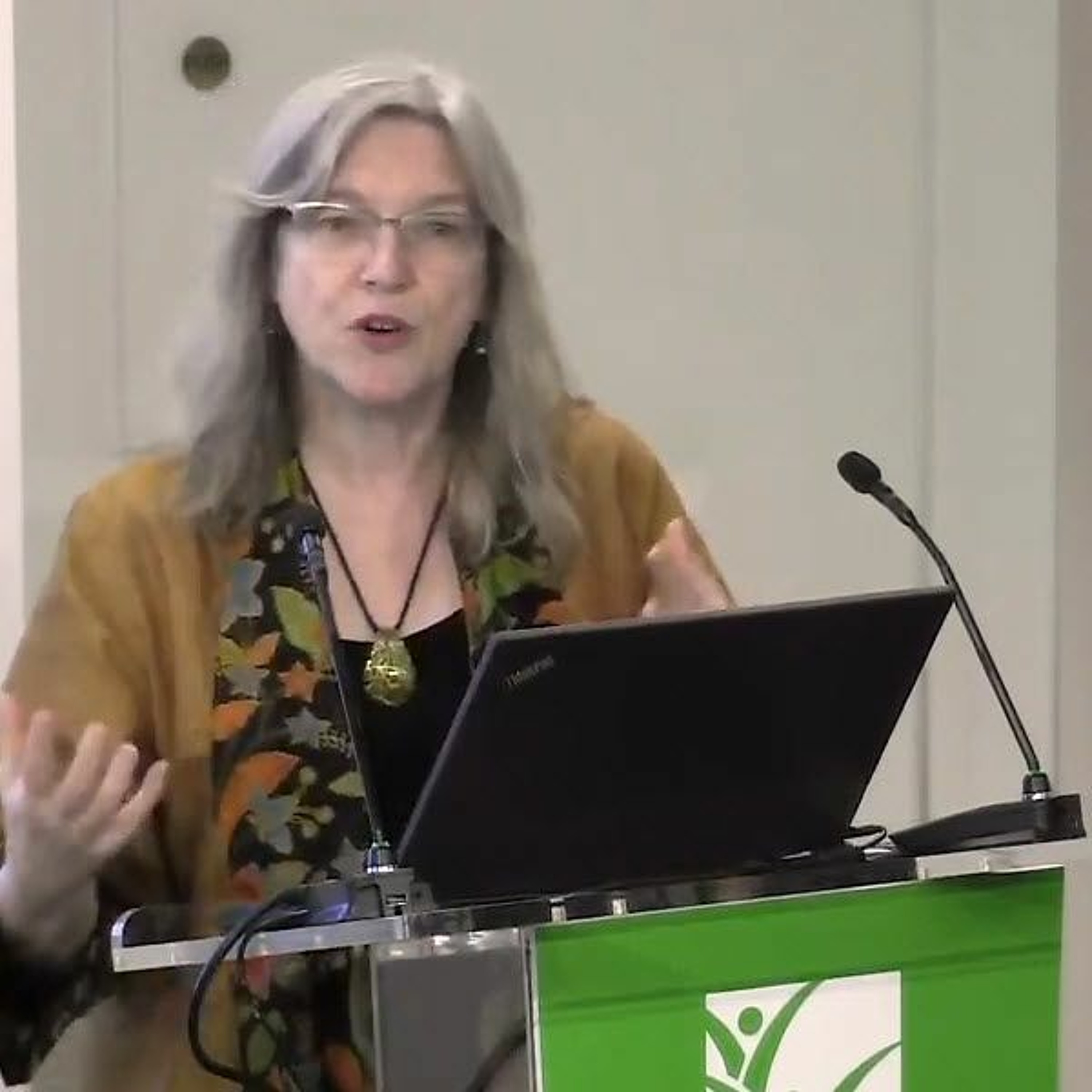 IFPRI SPECIAL EVENT: 2019 Global Food Policy Report - 3/27/2019 - RMeinzen-Dick episode artwork