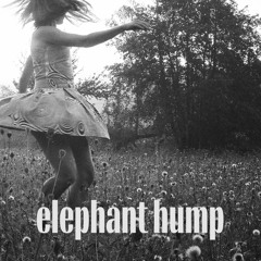 Elephant Hump - Afroboat